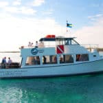 Dive Boat Bimini Blue